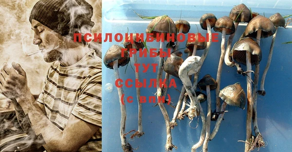 Альфа ПВП Абинск