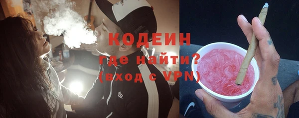 гашик Пестово