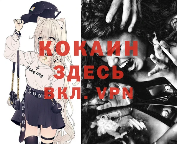 гашик Пестово